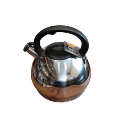 Чайник Shosman RE-702, 5 л, серебристый/черный