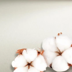 Бумага для акварели Hahnemühle Watercolour, 300 г/м2, 56x76 см, 10 листов, 100% хлопок, гладкая Бумага для акварели Hahnemühle Watercolour, 300 г/м2, 56x76 см, 10 листов, 100% хлопок, гладкая