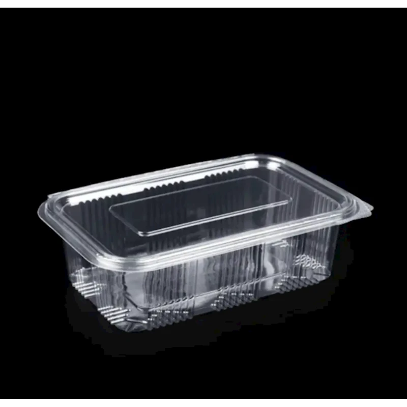 Набор одноразовых контейнеров Loyal 8548575339, полиэтилентерефталат, прозрачный, 25.5х19.3х5.4 см, 25 шт Набор одноразовых контейнеров Loyal 8548575339, полиэтилентерефталат, прозрачный, 25.5х19.3х5.4 см, 25 шт