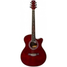 Akustik gitara Flight F-230C WR