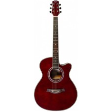 Akustik gitara Flight F-230C WR