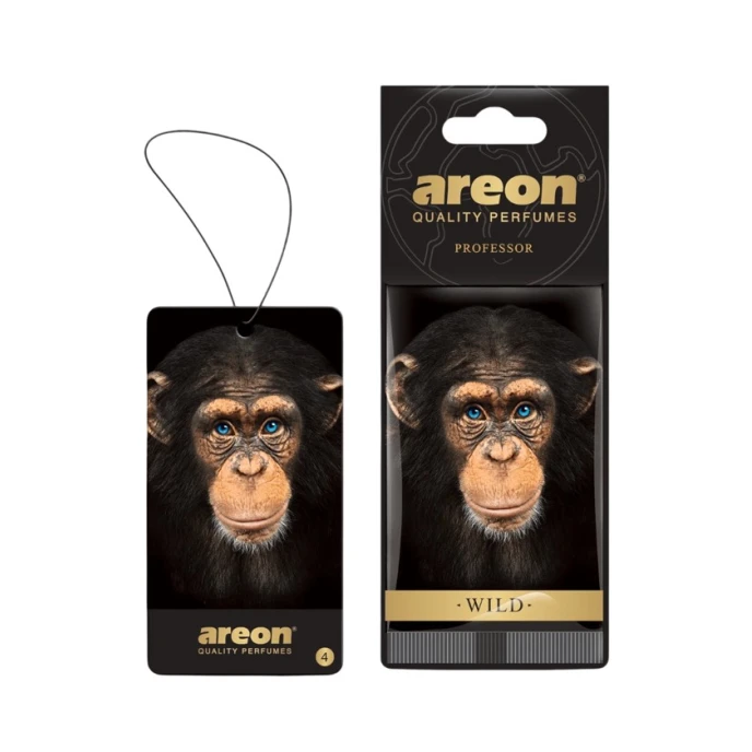 Ароматизатор для автомобиля Areon Professor Ароматизатор для автомобиля Areon Professor