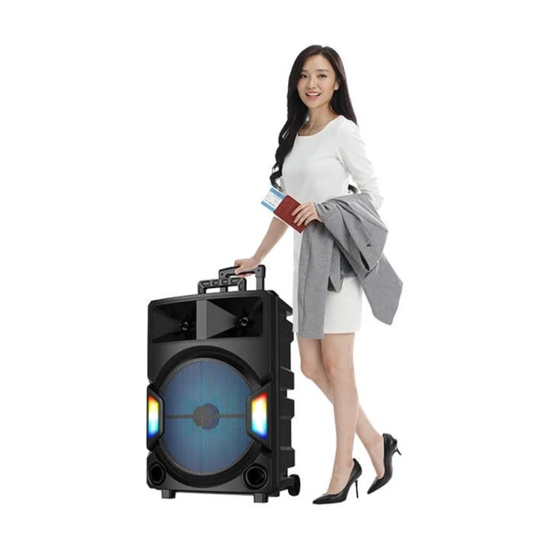 Акустическая система Sing-E ZQS15112