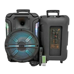 Portativ dinamik KTS_1200S