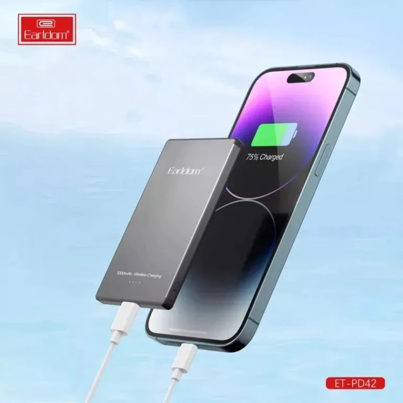 Внешний аккумулятор Earldom PD42 5000mAh Внешний аккумулятор Earldom PD42 5000mAh