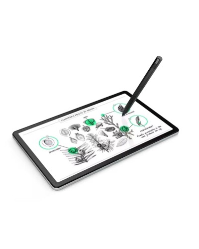 Planşet Lenovo Tab M10 Plus 4GB/64GB Storm Grey (ZAAN0115RU)