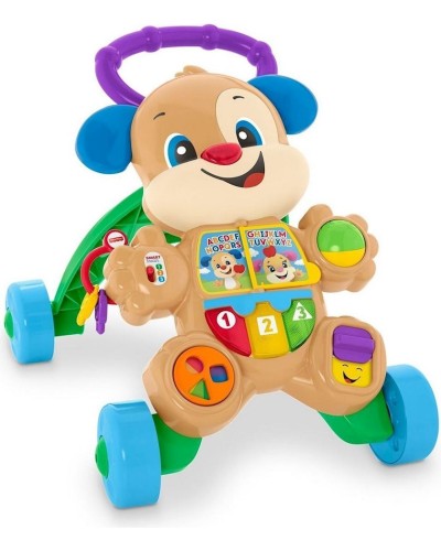 Yerimə diyircəyi Fisher-Price, Learn With Puppy Walker, 6 ay+