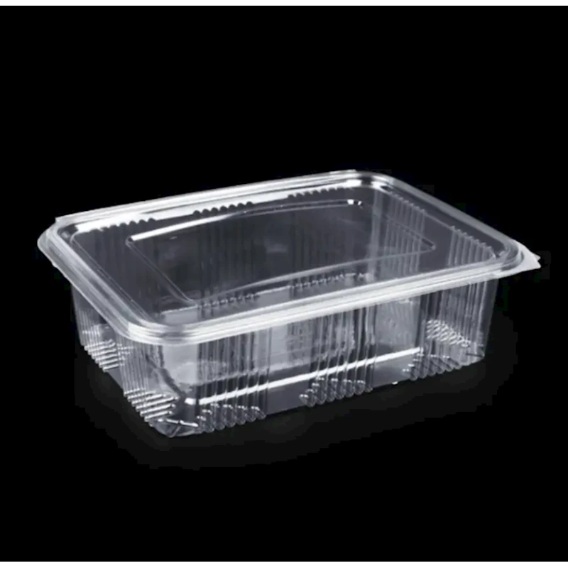 Birdəfəlik konteyner dəsti Loyal 9101527817, polietilen tereftalat, şəffaf, 34.8х23.2х7.25 sm, 25 əd