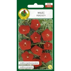 Семена цветов WILEC PIERZASTY 1 г