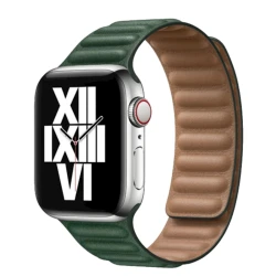 Ремешок SW374 для Apple Watch 38/40/41/42/44/45/49 мм Green
