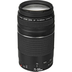 Объектив Canon EF 75-300mm f/4-5.6 III (6473A015AA)