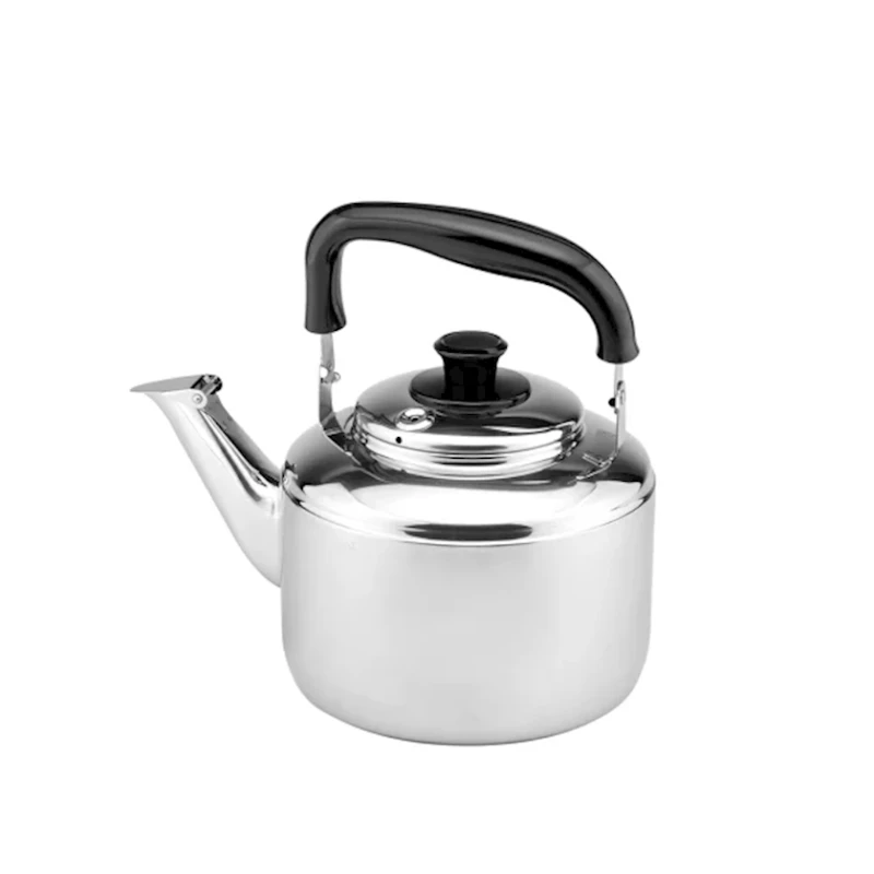Чайник Zebra 113515, 20.4x20 см, 4.5 л, нержавеющая сталь, с крышкой, серебристый