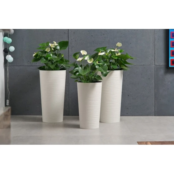 Kaşpo Lamela Lilia LA725-75, krem, 19х37 sm