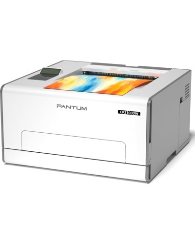 Printer Pantum CP2100DW, ağ