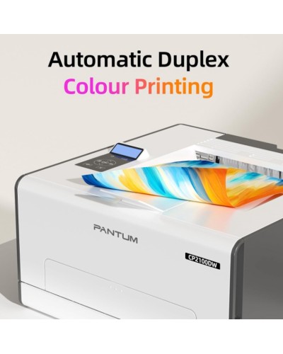 Printer Pantum CP2100DW, ağ