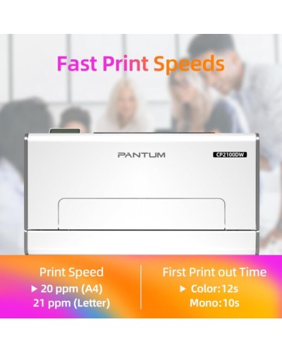 Printer Pantum CP2100DW, ağ