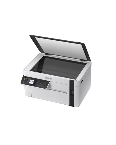 ÇFQ Epson M2110 (C11CJ19401).