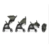Детская коляска Peg Perego Selfie Plus Metal
