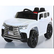 Uşaq elektrik avtomobili VeloStrim Premium, ağ