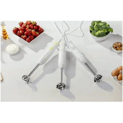 Ручной блендер Zelmer ZHB4551S