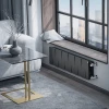 Секция радиатора Royal Thermo Pianoforte 30 см B (1 шт.)