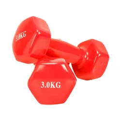 Dumbbell dəsti 530884