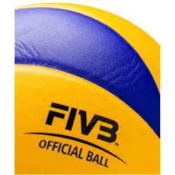 Mikasa 310 voleybol topu 530947