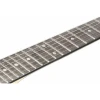 Электрогитара Ibanez GRGR221PA-AQB