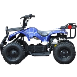 Квадроцикл Wuyi Qiaowei QWMATV-01A Голубой