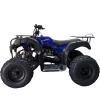Kvadrosikl KAXA 17 ATV 200 Göy