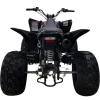 Квадроцикл KAXA 12 ATV 200 KOD 1095 Черный
