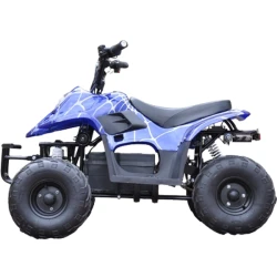 Квадроцикл Wuyi Qiaowei QWMATV-01B Голубой