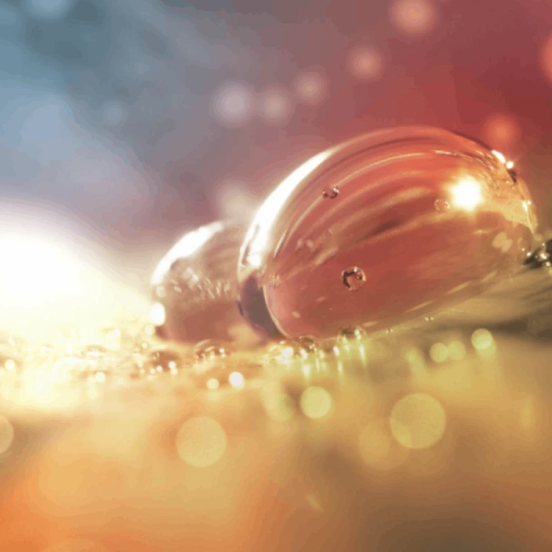 Maşa Philips BHB887/00