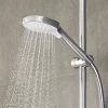 Ручной душ Hansgrohe 26812400