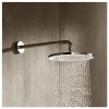 Təpə duş Hansgrohe 26220000