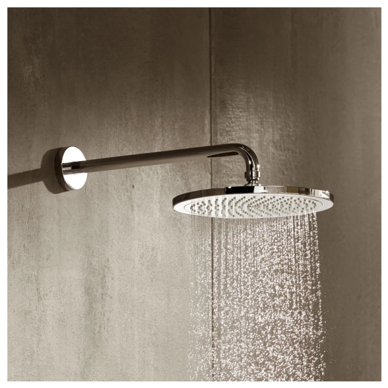 Təpə duş Hansgrohe 26220000