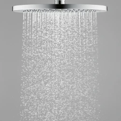 Təpə duş Hansgrohe 26220000
