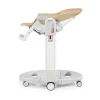 Стульчик для кормления Peg Perego Tatamia Paloma