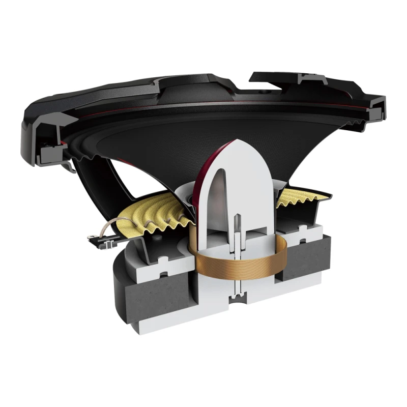 Dinamik Pioneer TS-M801PRO