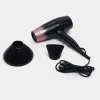 Fen Remington D5305 E51 Shimmer Hair Dryer
