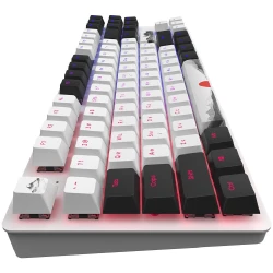 Игровая клавиатура Dark Project One 87 Fuji G3MS Mech RGB / DPO87_GSH_FUJI_ANSI_UA