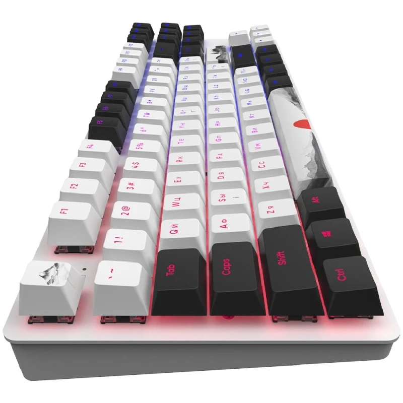 Игровая клавиатура Dark Project One 87 Fuji G3MS Mech RGB / DPO87_GSH_FUJI_ANSI_UA