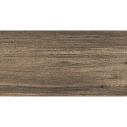 Keramoqranit Seratonia Irish Coffee Wood 60×120 sm