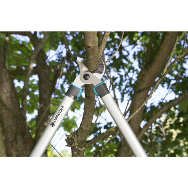 Kolkəsən Gardena 12004