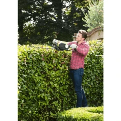 Benzinli kolkəsən Ryobi RHT25X55R