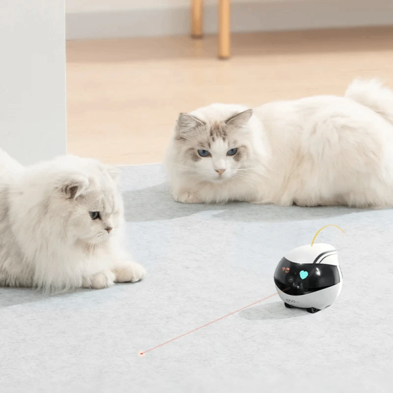 Камера EBO Air Pet Robot Camera