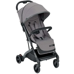 Детская коляска Cam Compass 202