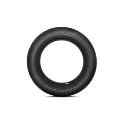 Avtomobil təkərləri Roadstone N-Fera RU5 103V 235/60R17