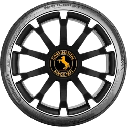 Автомобильная шина Continental SportContact 6 - 100Y XL 255/40R19