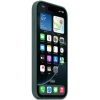 Защитный чехол Apple iPhone 16 Pro Silicone Case W/MagSafe Lake Green